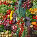 Meal Deliveries from Waste Not Want Not Battersea